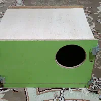 لانه پرنده|لوازم جانبی حیوانات|خرمدره, |دیوار