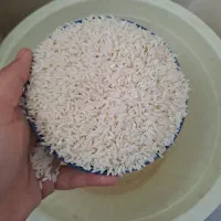 برنج طارم هاشمی اصل