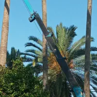 دکل  جرثقیل۲۲۰ نیسانی|ماشین‌آلات صنعتی|کلاچای, |دیوار