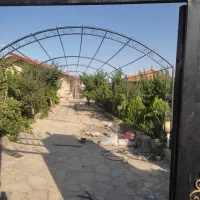 طاق میم انگور|مصالح و تجهیزات ساختمان|مشهد, میان ولایت|دیوار