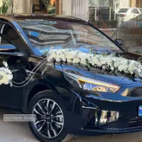 گل آرایی ماشین عروس/دسته گل/باکس گل|خدمات پذیرایی، مراسم|مشهد, مصلی (کارمندان اول)|دیوار