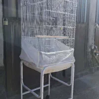 قفس پرنده