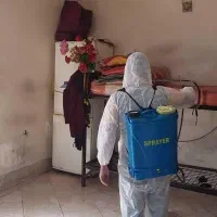 سم پاشی حشرات سوسک ساس موریانه ۱۰۰%تضمینی موش