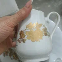 ظروف چینی|ظروف سرو و پذیرایی|رشت, شهرک قدس|دیوار