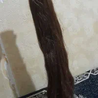 مو کلاگیس|آرایشی، بهداشتی، درمانی|آبادان, |دیوار