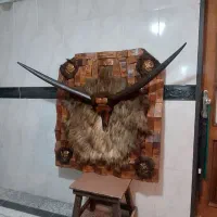 تابلو دیواری شاخ