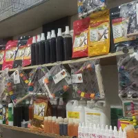 پرنده فروشی پرهام
