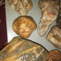 سنگ عقیق کبود یادرخت|بدلیجات|رشت, حومه رشت|دیوار