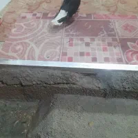 شهر جایزان|پرنده|بهبهان, |دیوار