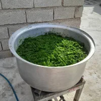 سبزی خورشتی رامهرمز|خوردنی و آشامیدنی|اهواز, ۳۰ متری|دیوار