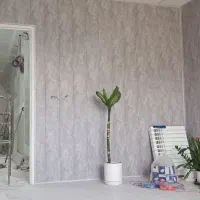 نقاشی ساختمان ماستیک|خدمات پیشه و مهارت|قزوین, |دیوار