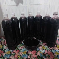 آب زرشک کوهی خالص