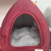 جای خواب سگ وگربه