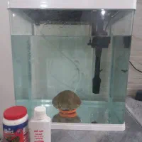 آکواریوم تقریبا ۶۰ در ۷۰ با لوازم نو|ماهی|ماهدشت, |دیوار
