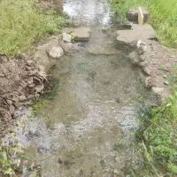 فروش آب موتور دلاور در اسکو