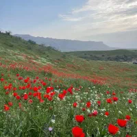 کوهنوردی طبیعت پیاده روی