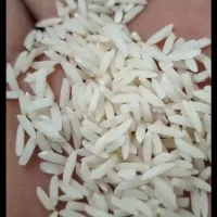 بازرگانی برنج علیزاده|خوردنی و آشامیدنی|قائم‌شهر, |دیوار