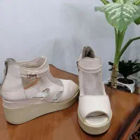 کفش مجلسی|کیف، کفش، کمربند|شوشتر, |دیوار