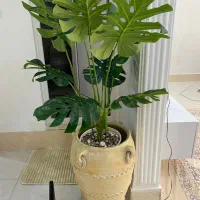 درختچه مصنوعی وارداتی بدون گلدان|گل مصنوعی|اسلام‌شهر, شهرک مهدیه|دیوار