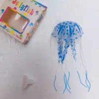 عروس دریایی ،آکواریوم|ماهی|زاهدان, |دیوار