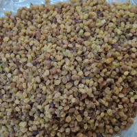 کشمش افتابی ارگانیک|خوردنی و آشامیدنی|قوچان, |دیوار