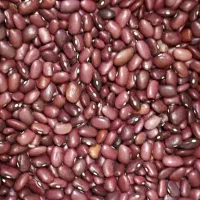 لوبیا چیتی درجه یک زود پز|خوردنی و آشامیدنی|قم, علی آباد سعدگان|دیوار