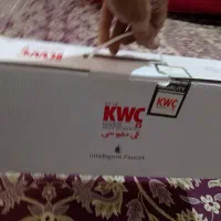 شیر مخلوط اهرمی چشمی KWC آکبند|لوازم حمام|نسیم‌شهر, |دیوار