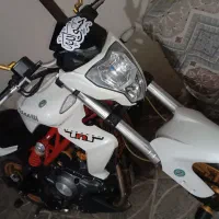 بنلی ۳۰۰ جفت