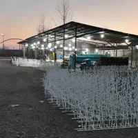 حفاظ دیوار شاخ گوزنی