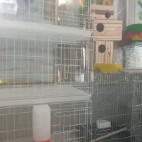 دانه فروشی .چهاراه آموزش پرورش