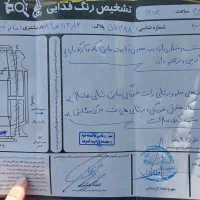 ریو مدل ۸۷|خودرو سواری و وانت|مشهد, شهید مطهری|دیوار