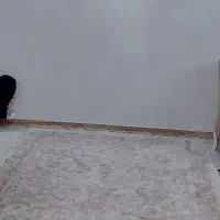 دو عدد فرش 9 متری کاملا سالم و در حدنو|فرش|رشت, پیرکلاچای|دیوار