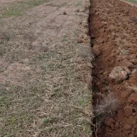 زمین دیم اجاره ای ۵۰۰ هکتار در بهتر اب و هوای قوچا|اجارهٔ دفتر صنعتی، کشاورزی، تجاری|آبکوه, |دیوار