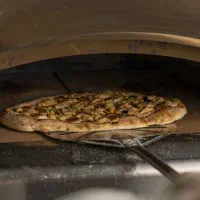 همکار آقا یا خانم