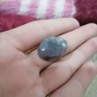 کهنه سنگ شجر بحری|کلکسیون اشیاء عتیقه|اهواز, چنیبه علیا|دیوار