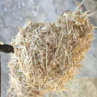 کاه گندم درجه یک