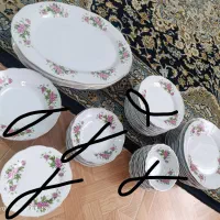 ظرف غذا خوری گل سرخ  فروش فوری