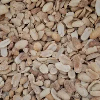 بادام زمینی برای زیتون پرورده/توت خشک/الوبخارا