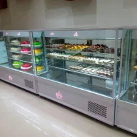 یخچال ایستاده مکعبی . قنادی. قصابی. پروتئینی