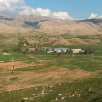 مزرعه مرغداری و گلخانه و باغ و ویلا|فروش دفتر صنعتی، کشاورزی، تجاری|لالی, |دیوار