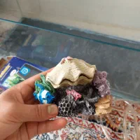 آکواریوم شیشه خم شرکتی با همه وسایلش|ماهی|نسیمشهر, |دیوار