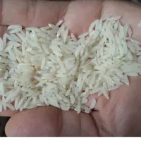 فروش طارام محلی