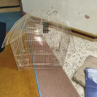 قفس|لوازم جانبی حیوانات|فولادشهر, مسکن مهر فولادشهر|دیوار