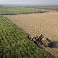 فیروزآبادمجتمع-فدک-زمین-1200متری-واقعه-در-روزبدان