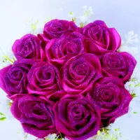 گل باکسی|گل مصنوعی|رشت, لاکان|دیوار