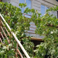 فروش-ساختمان-ویلایی-محله-رسالت