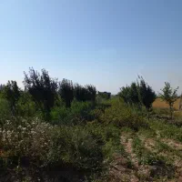 زمین باغ گیلانده|فروش دفتر صنعتی، کشاورزی، تجاری|اردبیل, |دیوار