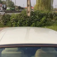 پیکان 83|خودرو سواری و وانت|گلوگاه بابل (گلیا), |دیوار