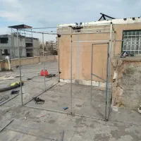 کبوتر|پرنده|بروجرد, |دیوار