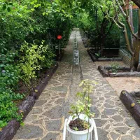 کافه رستوران نگین|استخدام خدمات فروشگاه و رستوران|گلبهار, شهر جدید گلبهار|دیوار